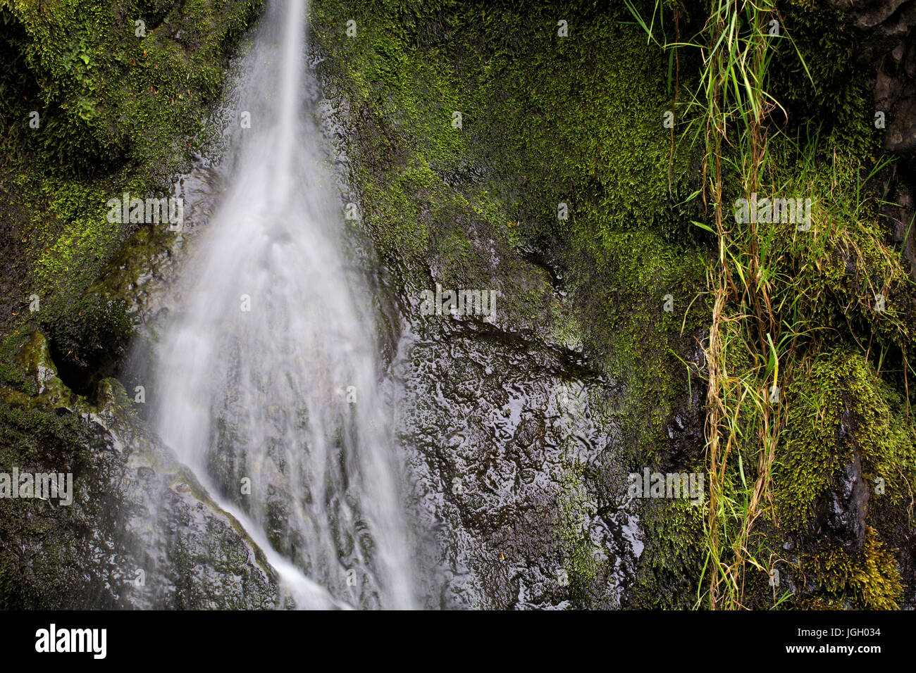 Kleiner Wasserfall und Moos bedeckt rock Stockfoto