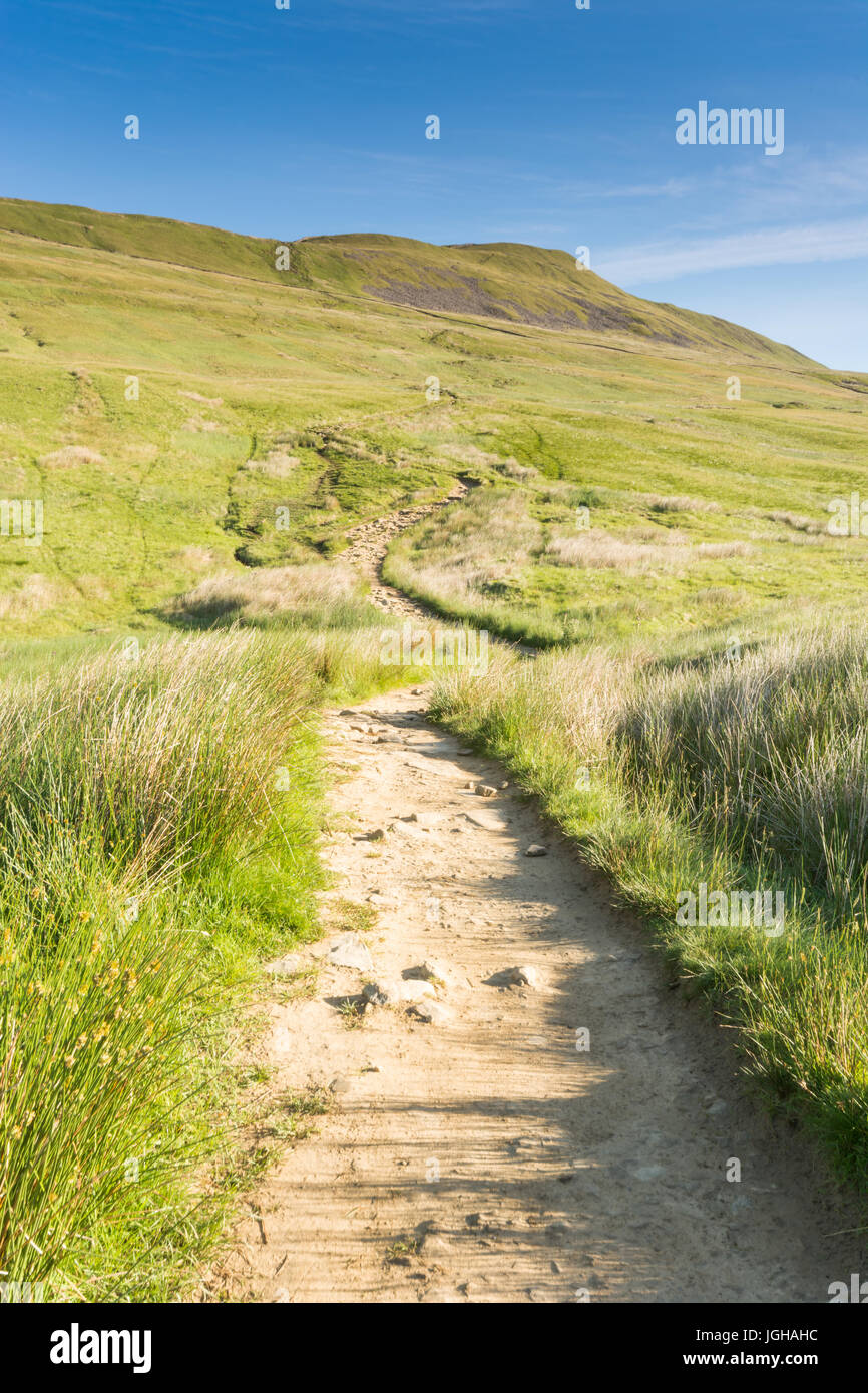 Pfad zum Whernside in Yorkshire Dales Stockfoto