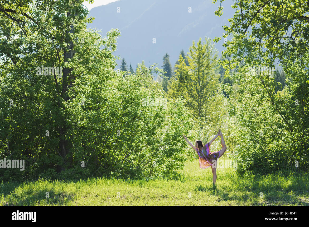 Schöne Frau, die Yoga in einem grünen Wald an einem sonnigen Tag machen Stockfoto