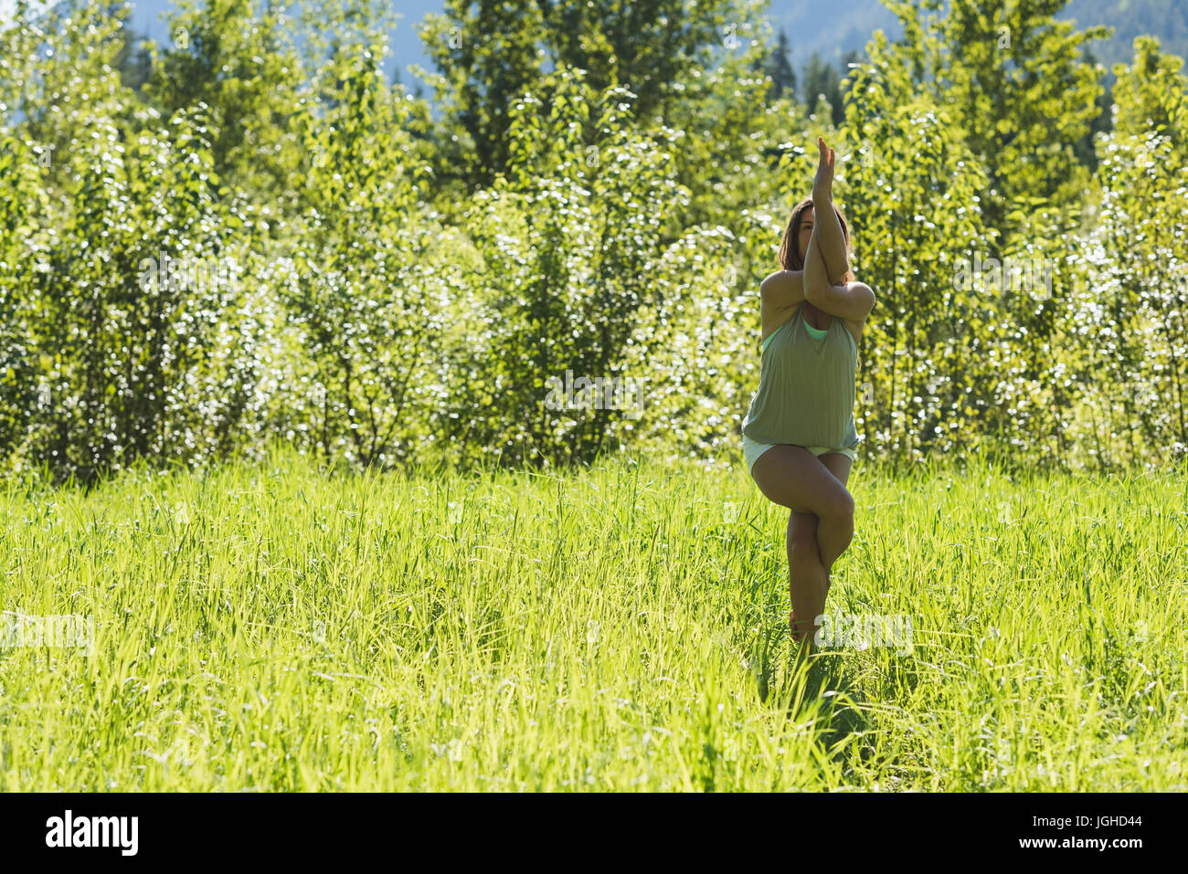 Schöne Frau, die Yoga in einem grünen Wald an einem sonnigen Tag machen Stockfoto