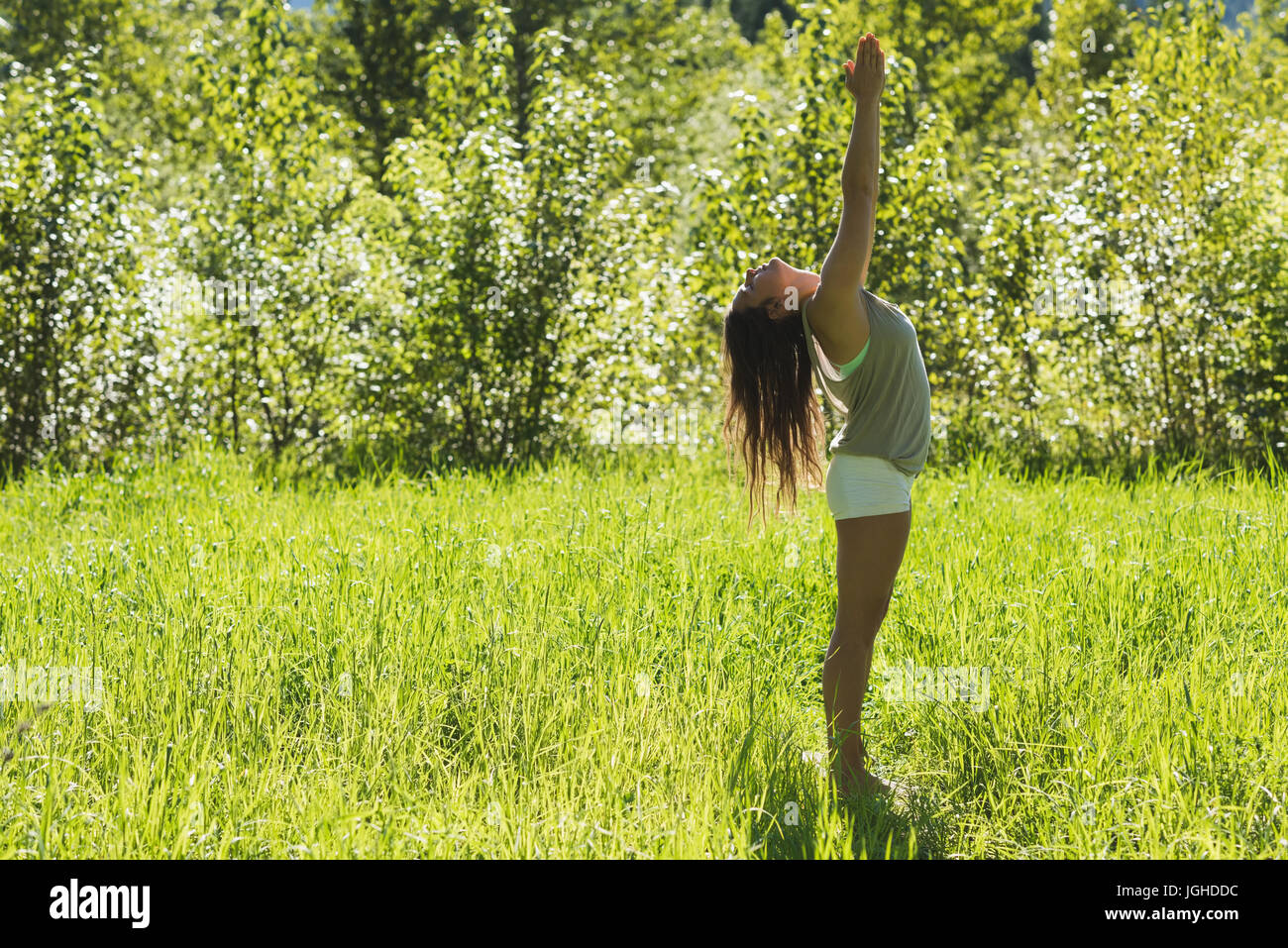 Schöne Frau, die Yoga in einem grünen Wald an einem sonnigen Tag machen Stockfoto