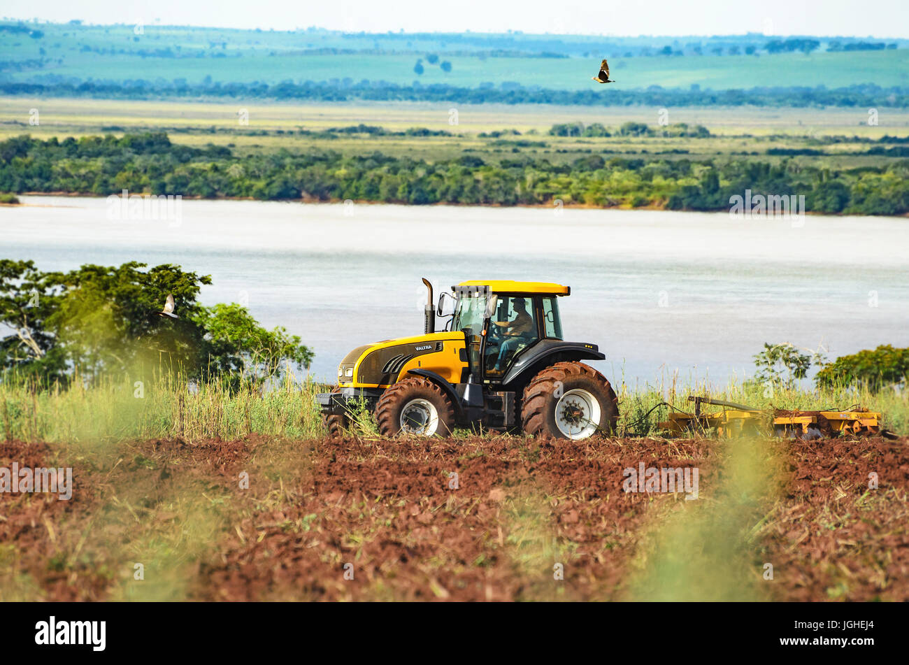 MATO GROSSO DO SUL, Brasilien - 18. April 2017: Traktorfahrer einen gelben Valtra-Traktor zu fahren und pflügen den Boden für eine zukünftige Plantage. Traktor auf Stockfoto