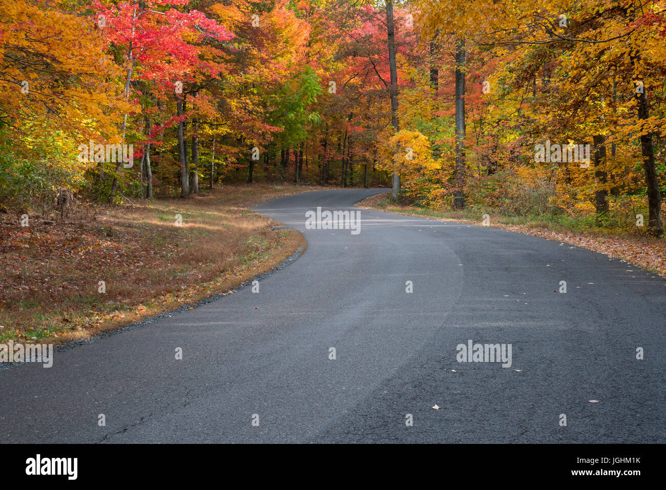 Fahren Sie auf einer Bergstraße mit bunten Herbstfarben. Stockfoto