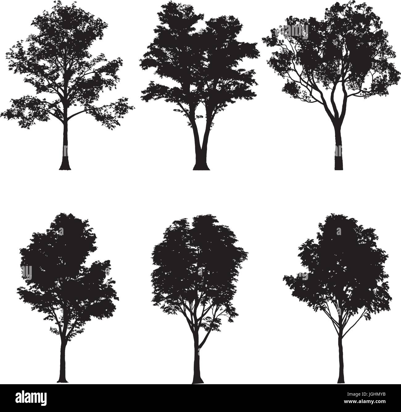 Vektor-Illustration der Baum Silhouetten Stock Vektor