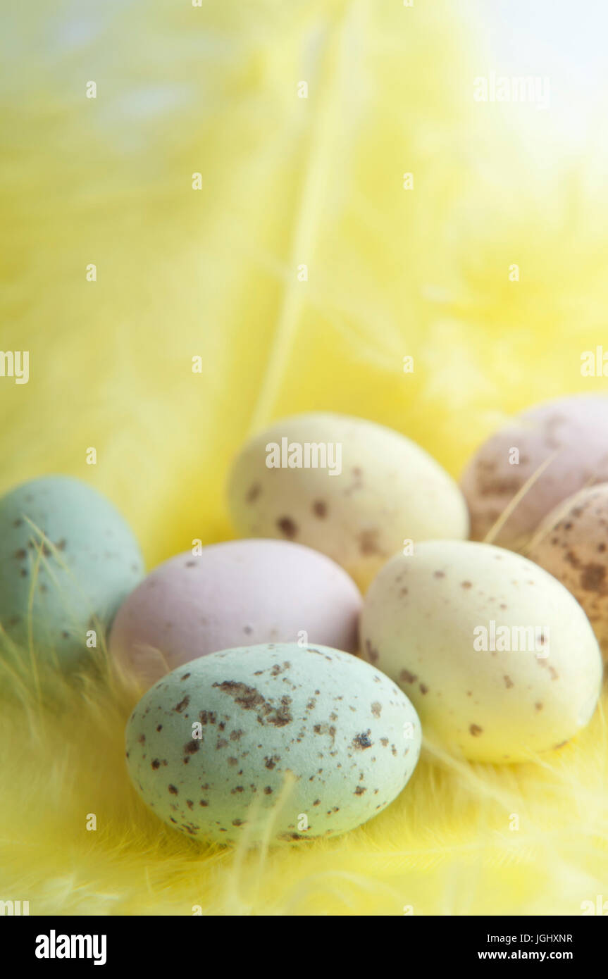 Eine Auswahl an kleinen gefleckten Osterei Süßigkeiten in Pastellfarben, ruht auf einem flufffy gelbe Feder. Stockfoto
