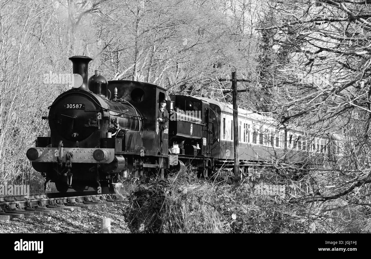 Doppelköpfige Dampfzug auf der South Devon Railway, geschleppten Beattie gut Tank Nr. 30587 und GWR Pannier Tank Nr. 1369. Stockfoto