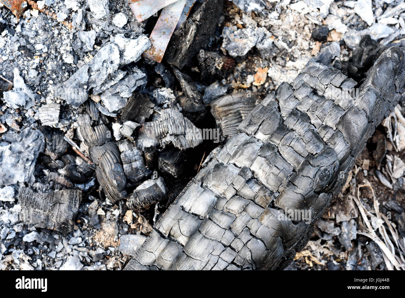 Bleibt schwarz verbrannte Kohle und haufenweise grauer Asche nach einem Holzfeuer gelöscht wurde Stockfoto
