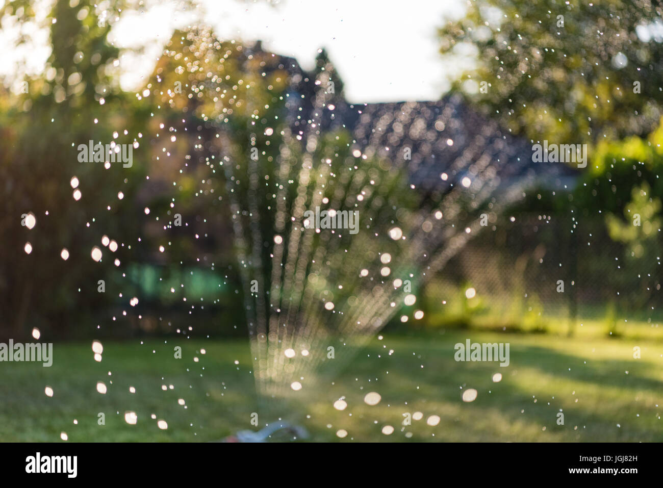 Wasser Sprinkler im Garten erzeugt Licht-Reflektionen bei Sonnenuntergang Stockfoto