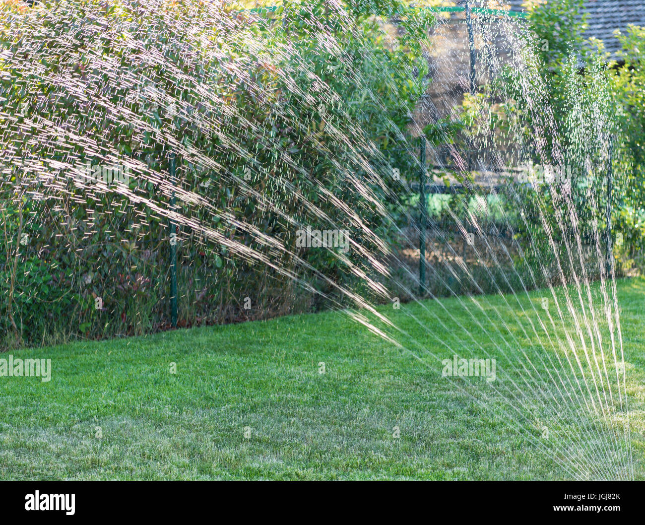 Wasser Sprinkler im Garten erzeugt Licht-Reflektionen bei Sonnenuntergang Stockfoto