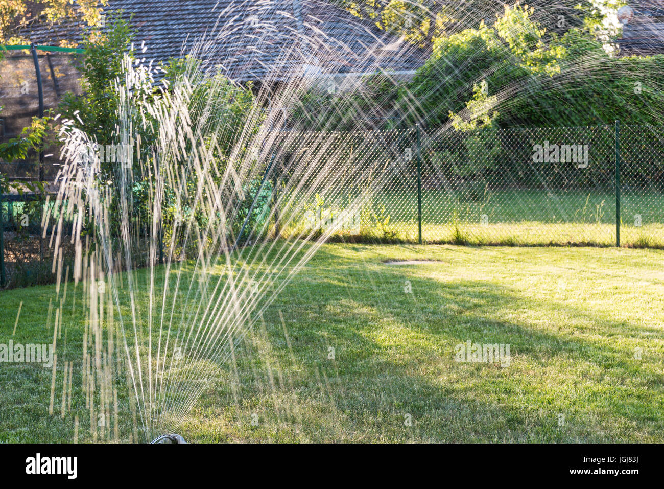 Wasser Sprinkler im Garten erzeugt Licht-Reflektionen bei Sonnenuntergang Stockfoto