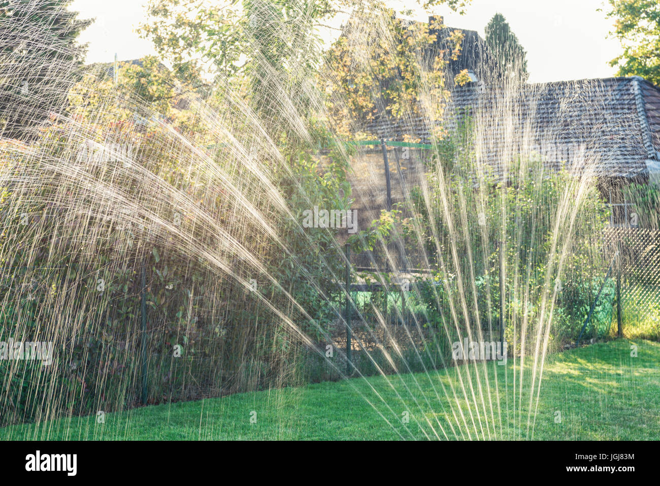 Wasser Sprinkler im Garten erzeugt Licht-Reflektionen bei Sonnenuntergang Stockfoto