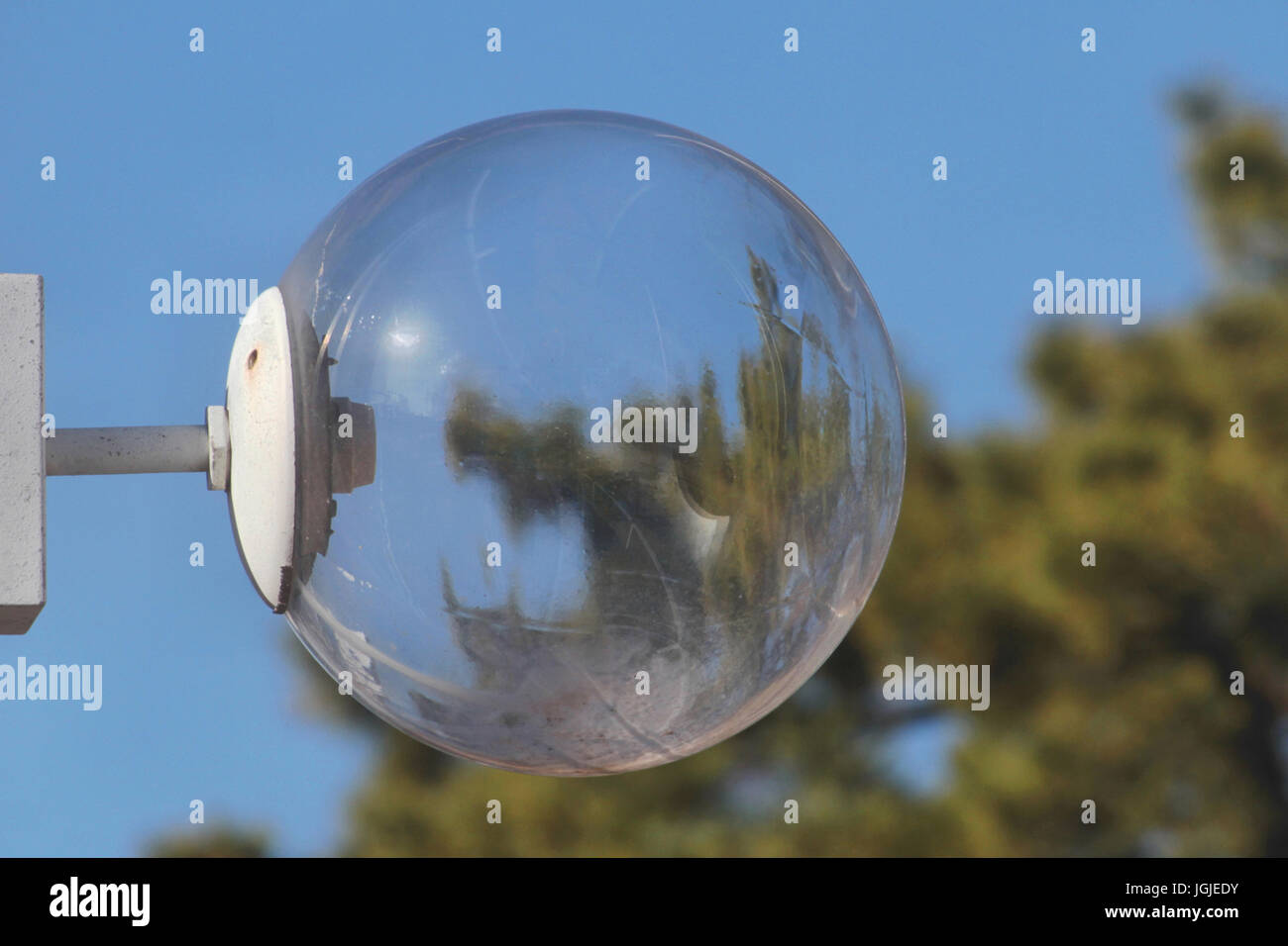 Ein klar im freien Licht Glaskugel mit keine Glühbirne spiegelt die immergrünen Bäume dahinter vor blauem Himmel. Stockfoto