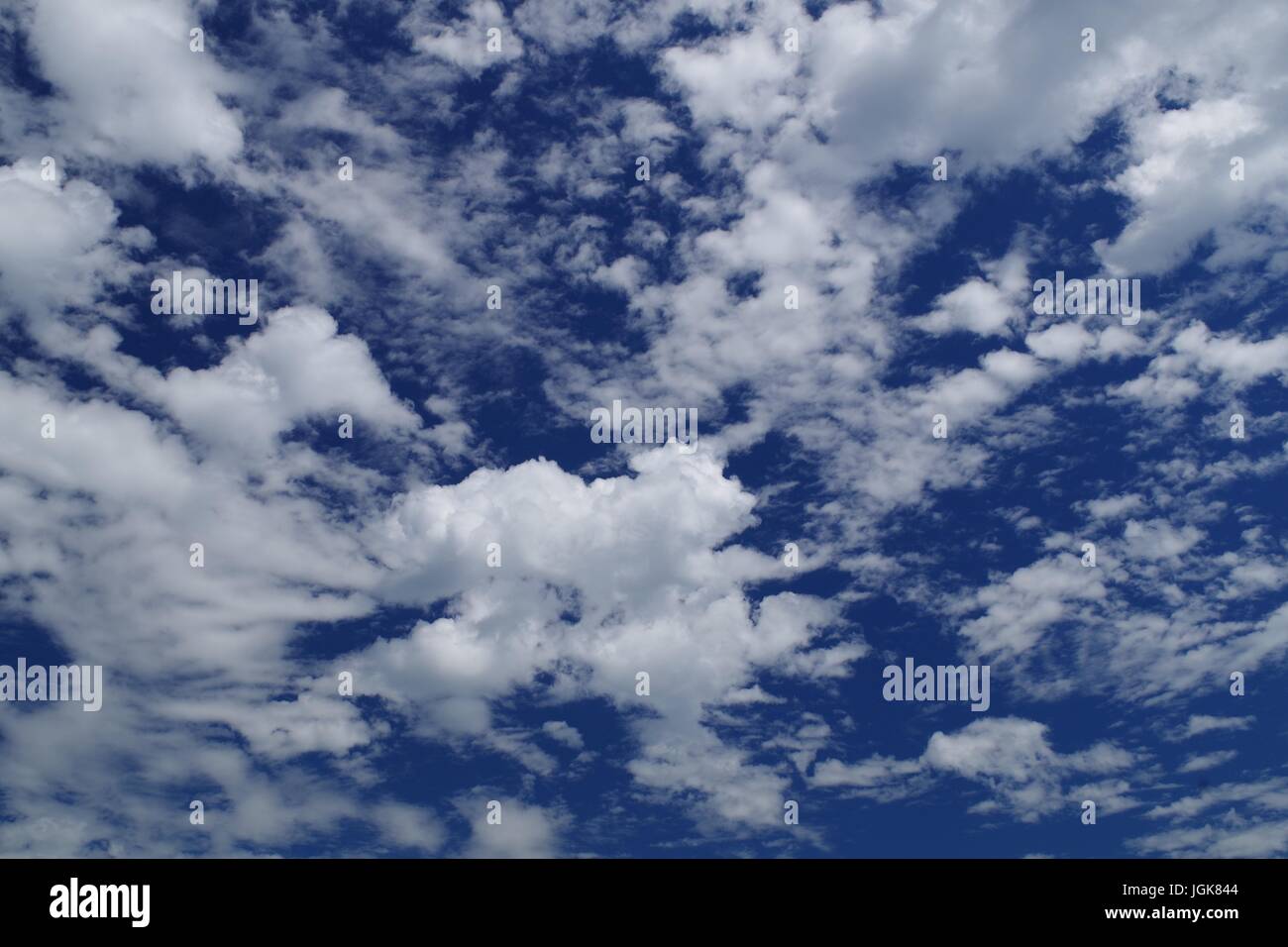 Cumuluswolken Schönwetter an einem sonnigen Sommertag. Dawlish Warren, Devon, UK. Juli 2017. Stockfoto