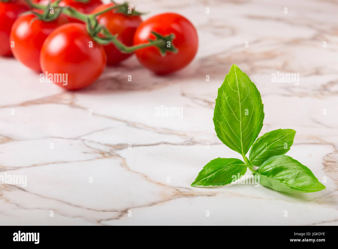 Frisches Basilikum hautnah am Tisch mit Haufen von Cherry-Tomaten im Hintergrund und Kopie Raum. Stockfoto