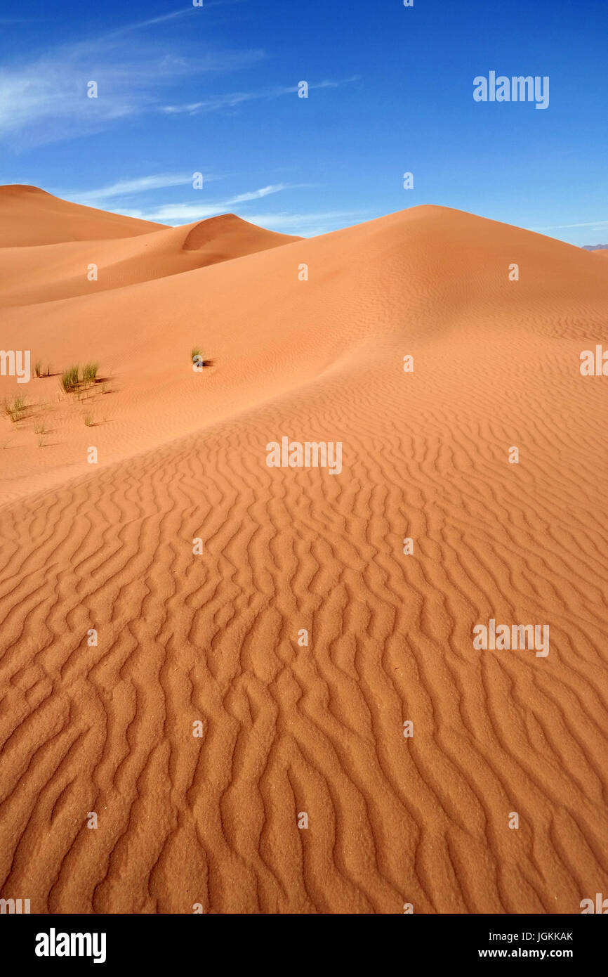 Wüste Sanddünen, Zagora, Marokko Stockfoto