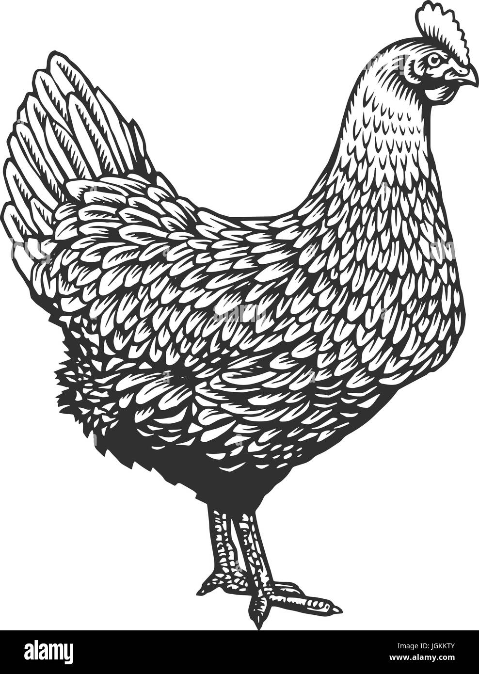 Huhn oder Henne in Vintage Kupferstich oder Radierung Stil gezeichnet. Bauernhof Geflügel Vogel isoliert auf weißem Hintergrund. Vektor-Illustration in monochromen Farben für Poster, Speisekarte, Website, Logo. Stock Vektor