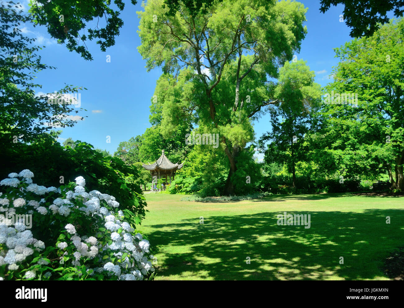 Ein schöner Sommertag in Wisley Stockfoto