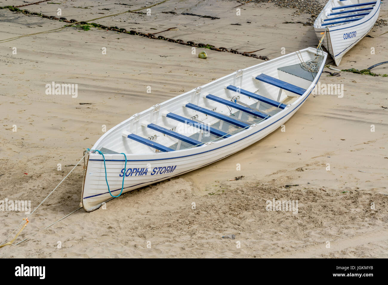 Zwei gig racing / Rudern hrendes Hafen von Newquay, Cornwall. Stockfoto