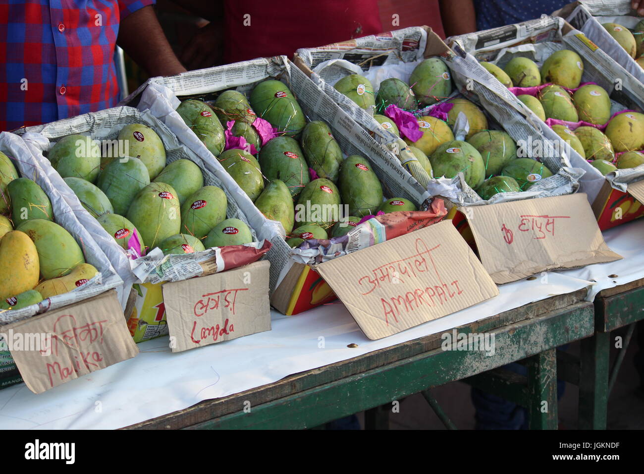 Verschiedene Sorten von Mangos zum Verkauf an Mango und Sharbat Mela, 2017 abgehaltenen Dilli Haat, Pitampura, Delhi, Indien Stockfoto