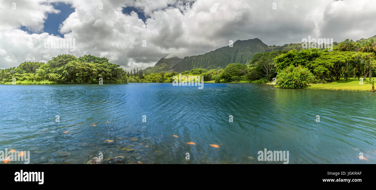 Botanischer Garten Hoomaluhia Stockfotos Botanischer Garten