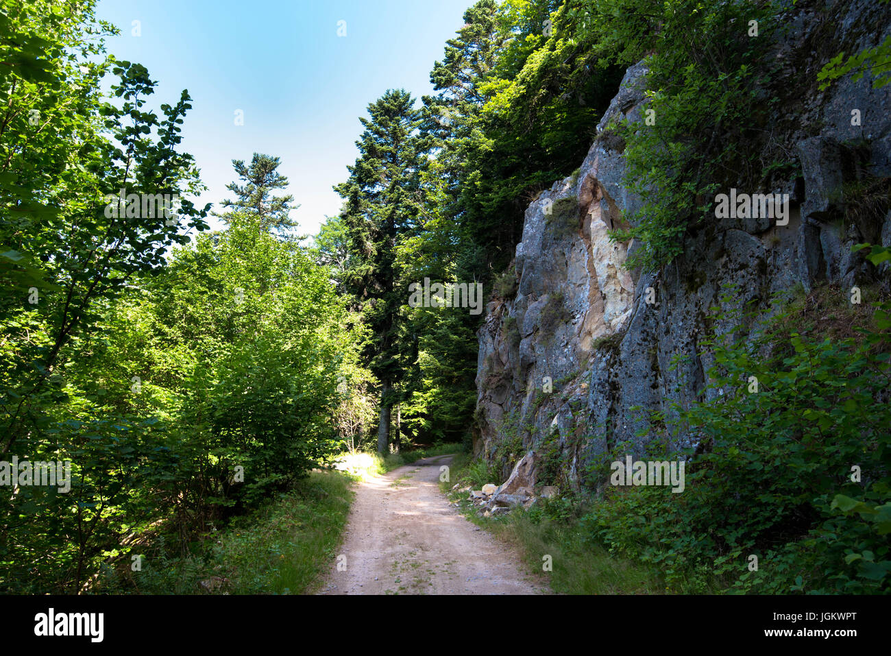 Lac de Schiessrothried in den Vogesen im Elsass Stockfoto