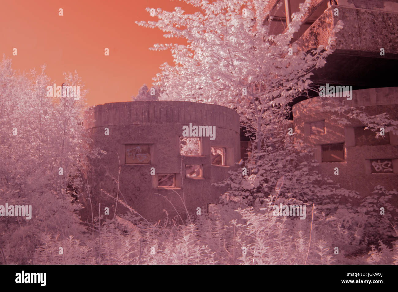 Infra Aufnahmen rot Infrarot-Fotografie Bilder der Ruinen der St.-Peter Seminar, Cardross, Schottland, 2012 Höhe seiner Baufälligkeit vor der Restaurierung Stockfoto