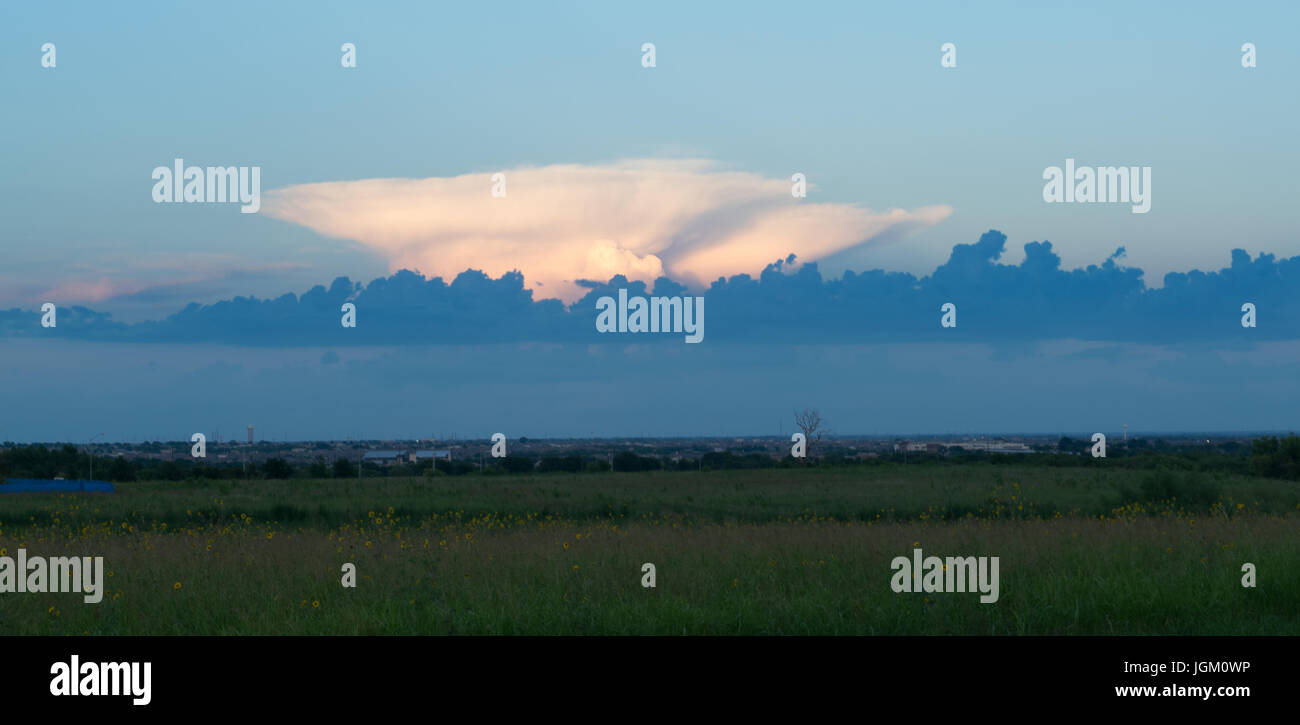 Schönwetter-Wolken an einem heißen Nachmittag in Texas Stockfoto