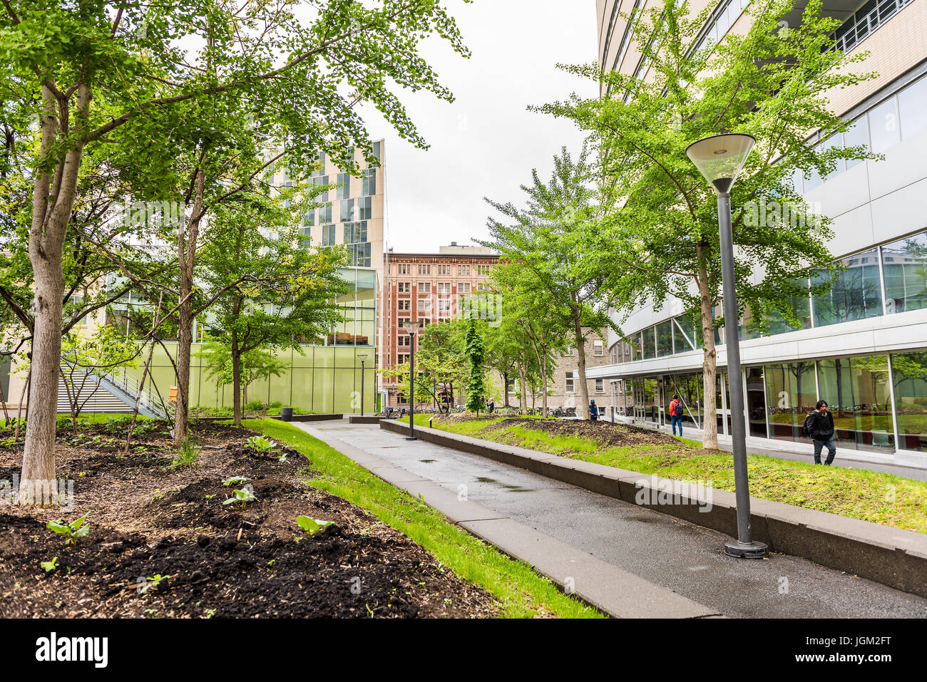 Montreal, Kanada - 26. Mai 2017: UQAM Science School Universität mit modernen Glasgebäuden und Park mit Schülern zu Fuß Stockfoto