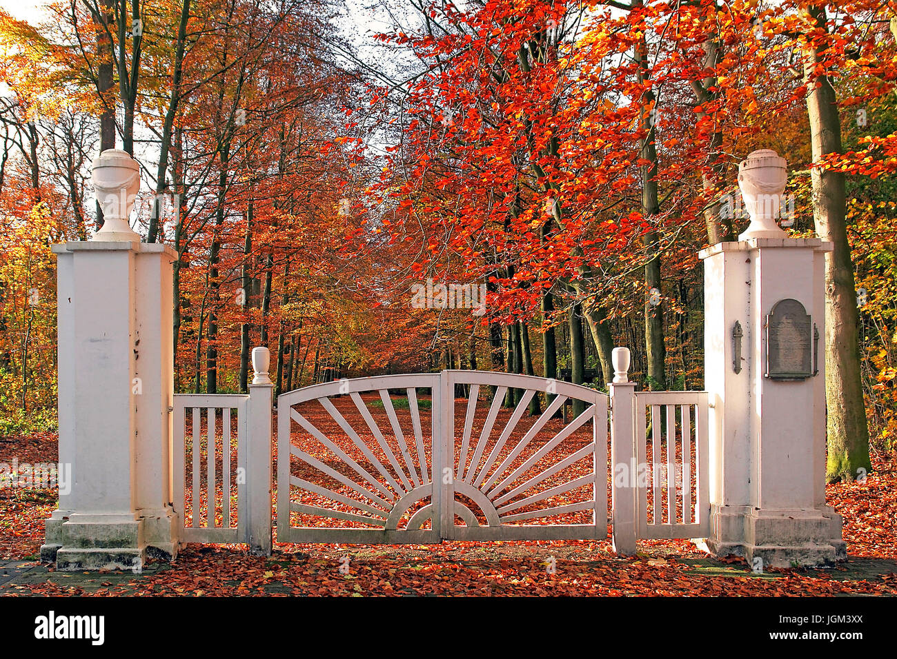 Die Bundesrepublik Deutschland, Niedersachsen, Friesland, Herbst, Laub, Herbstlaub, Golden, Golden, goldene Oktober, Varel, Holz, Park, gate, wh Stockfoto