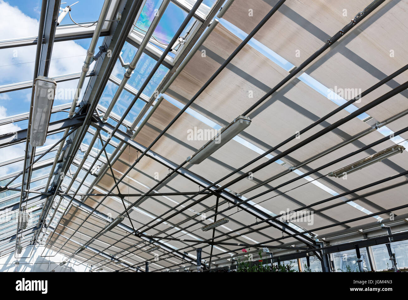 Innere des Gewächshauses im Garten mit transparenten Glasdach Stockfoto