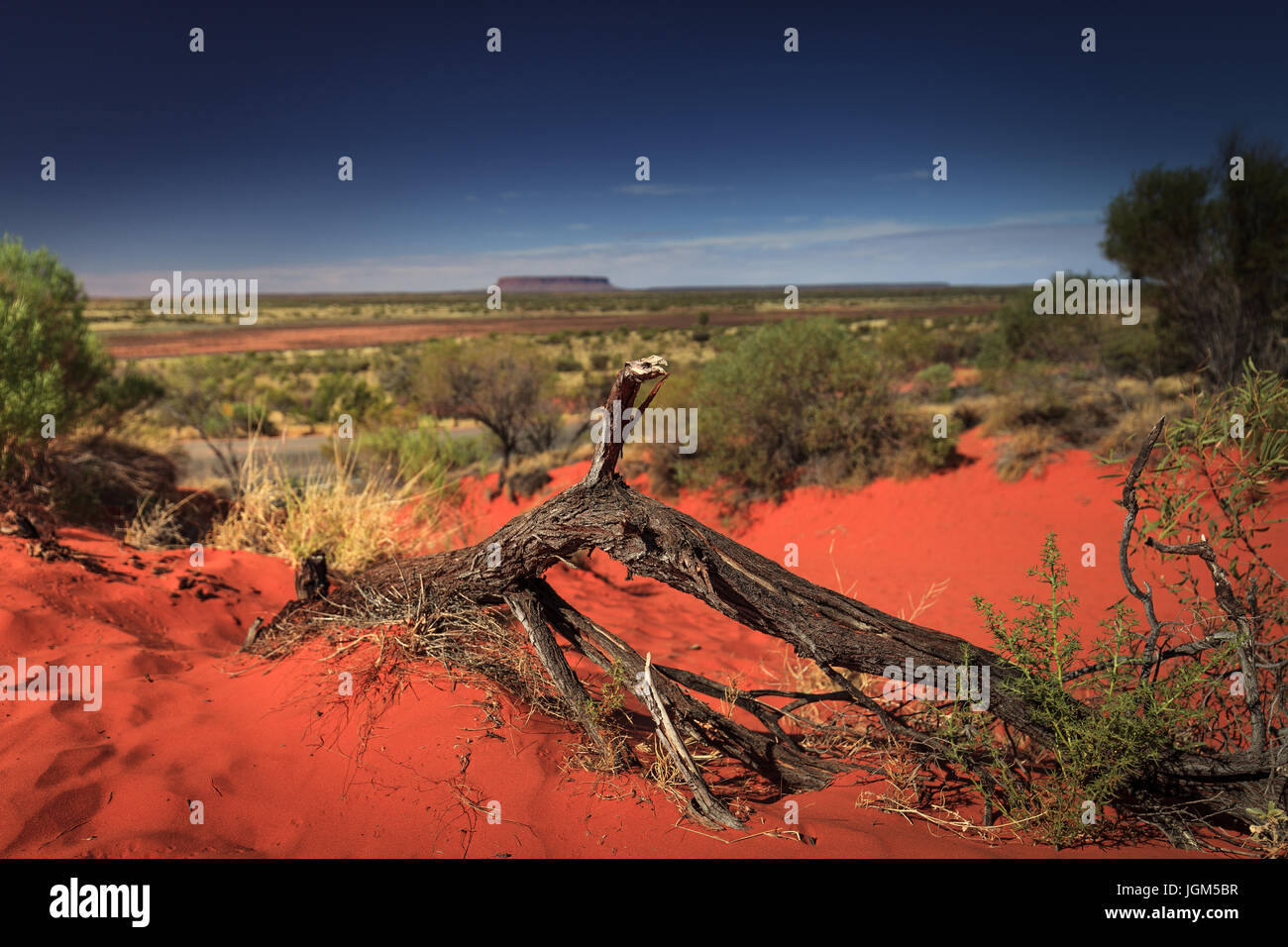 Blick auf Mount Connor ist Australiens Northern Territory Stockfoto