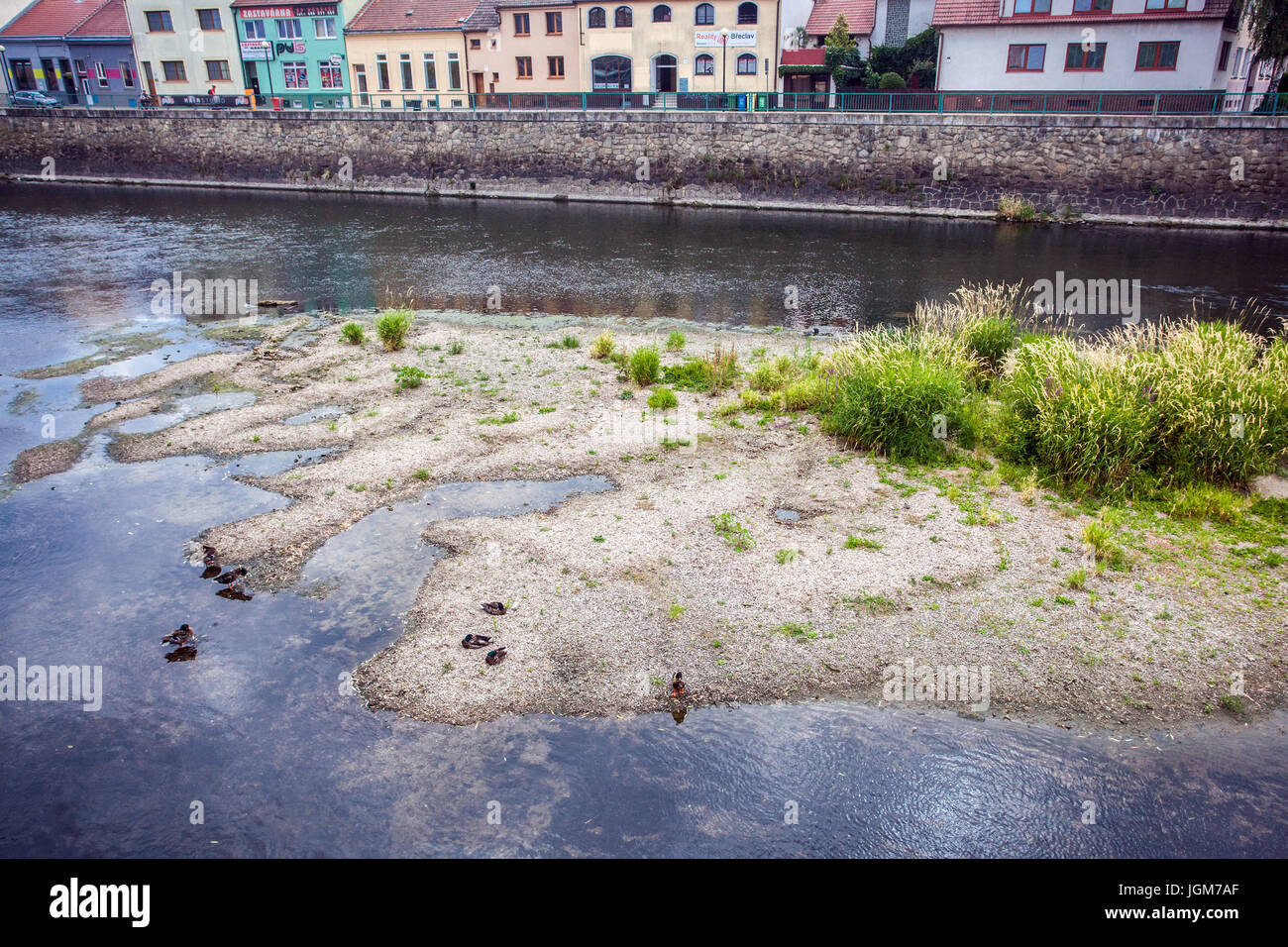 Das niedrige Niveau des Flusses Dyje ergibt sich aus der anhaltenden Mangel an Niederschlägen in Südmähren, Breclav, Tschechische Republik, Europa Stockfoto