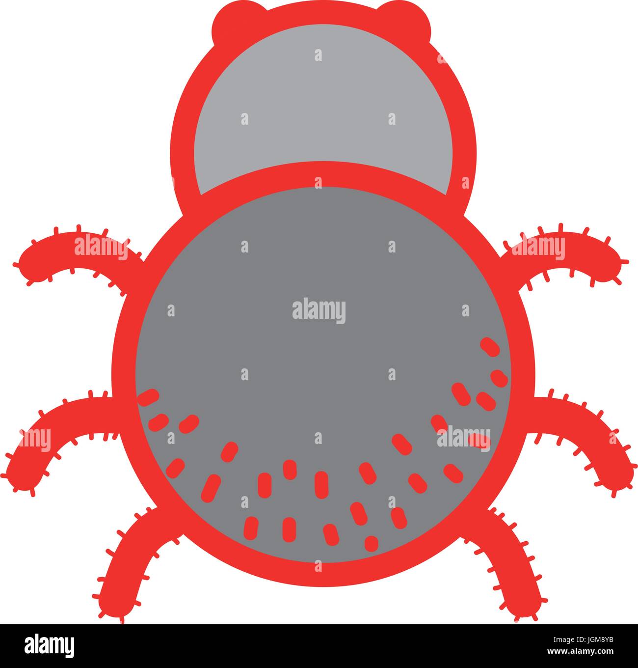 Spinne Insekten gefährlich und Tier Symbol Symbol Stock Vektor
