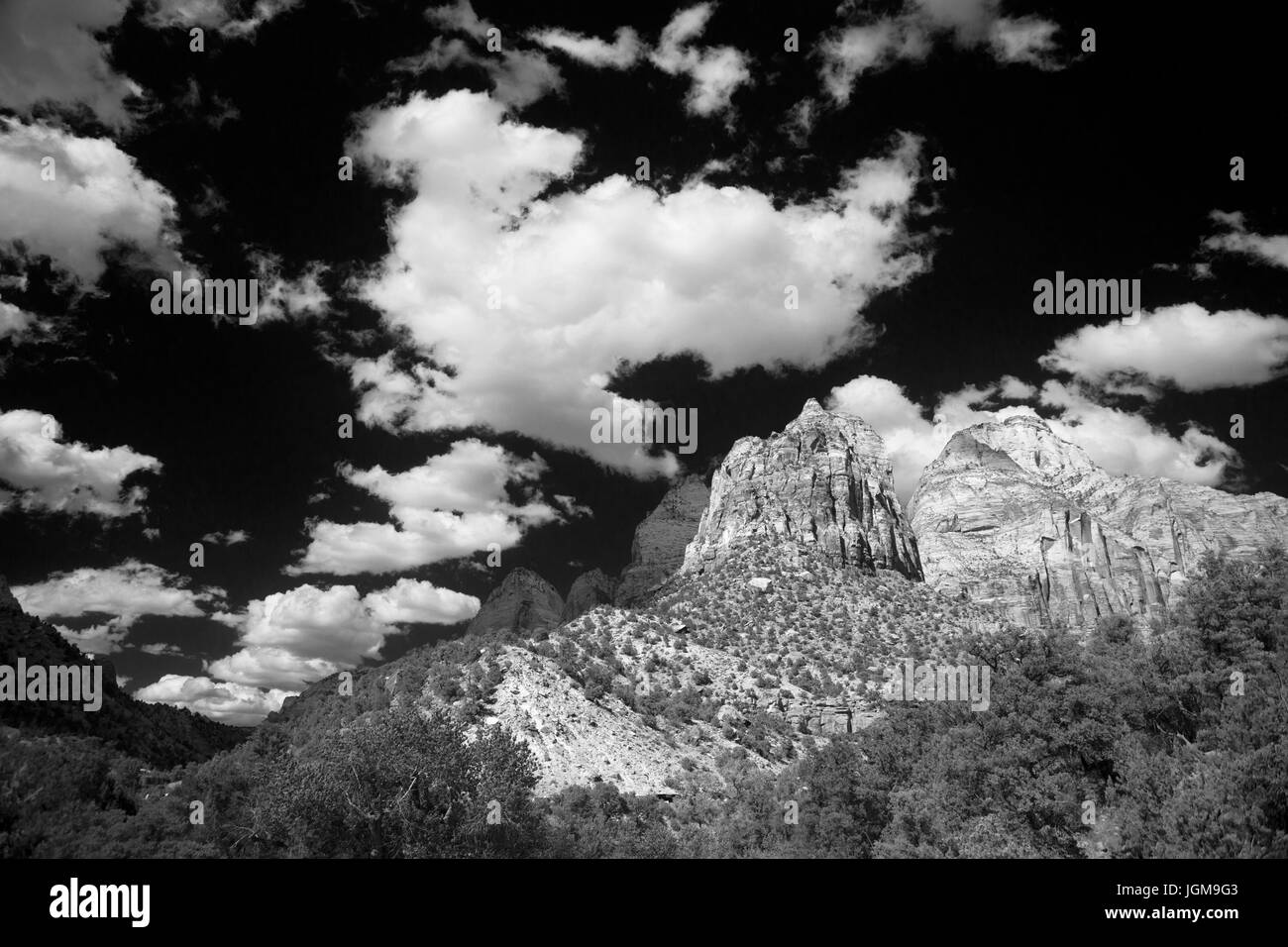 B&W Zion Canyon Junction Stockfoto