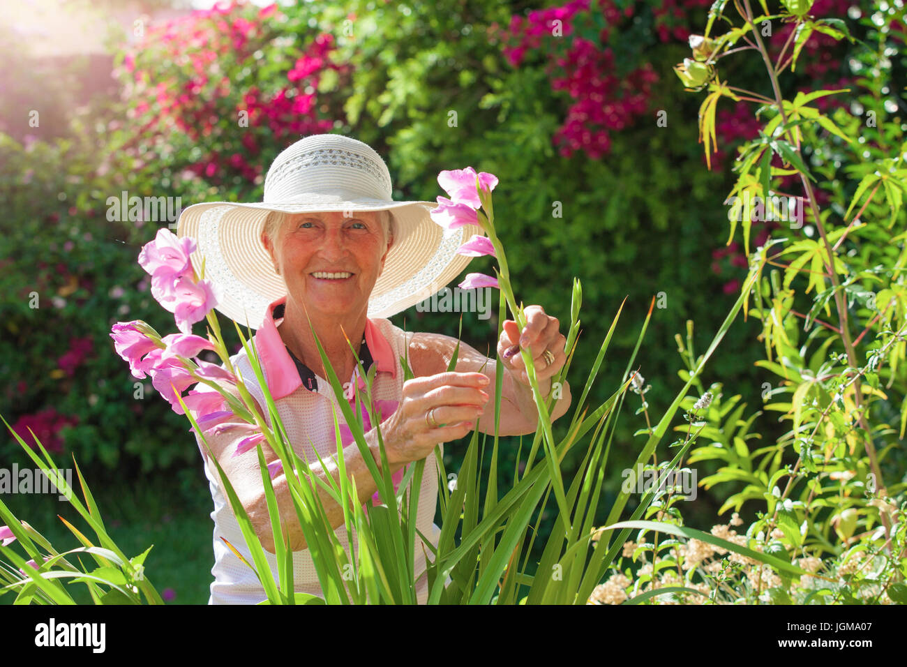 lächelnde senior Frau Blumen pflücken im Garten im Sommer Stockfoto