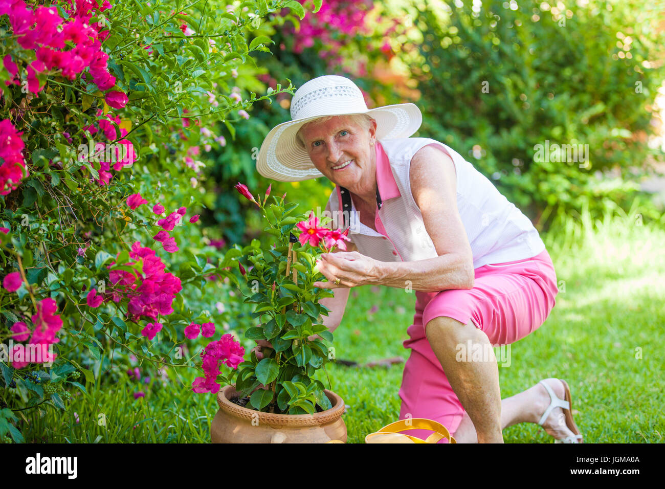 Senioren im Ruhestand Frau im Garten Stockfoto