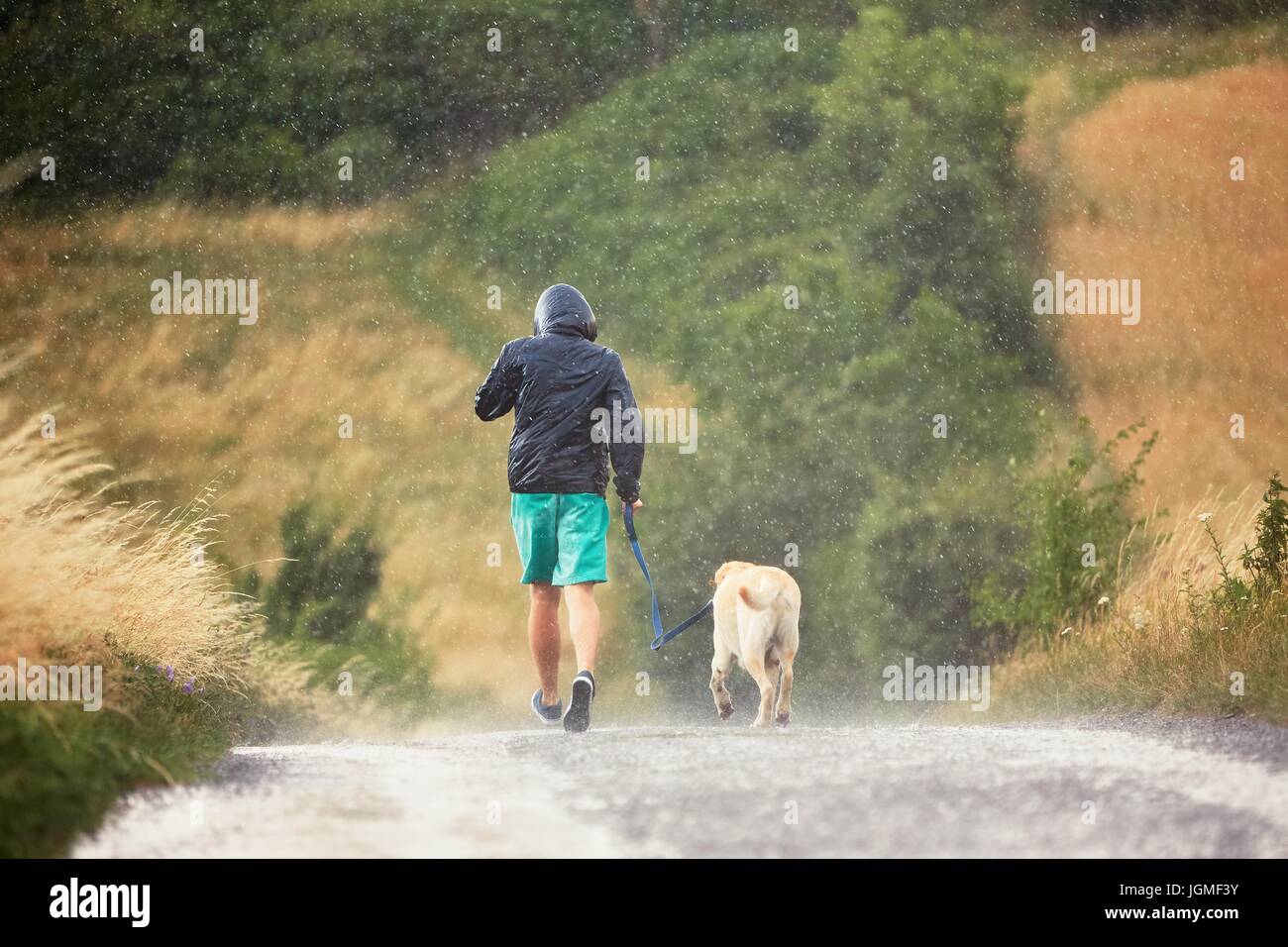 Junger Mann mit seinem Hund (Labrador Retriever) bei starkem Regen auf der Landstraße ausgeführt. Stockfoto