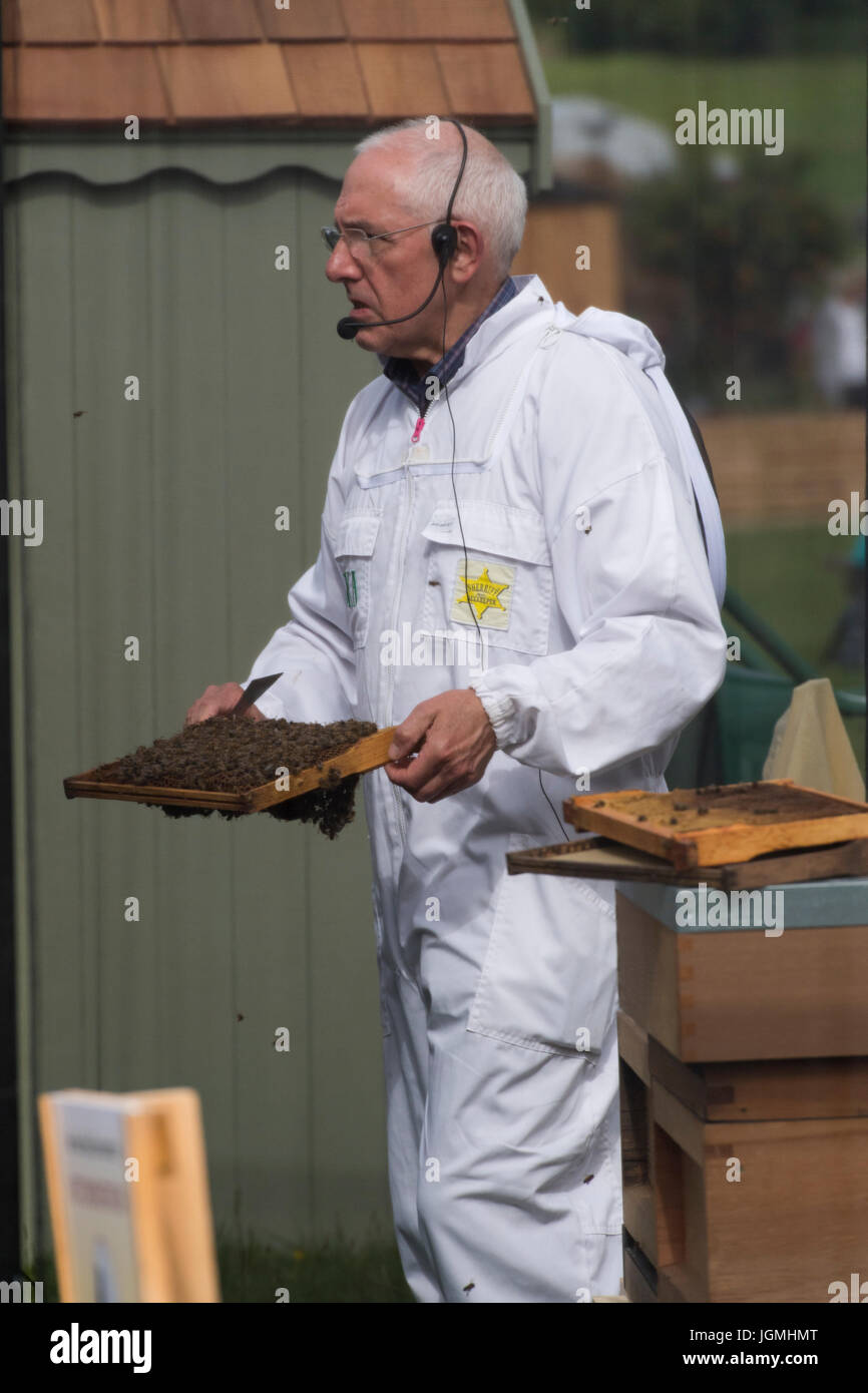 BBKA Mann live Imkerei Demo ist sprechen & Halterahmen Bienenkorb mit Bienen - RHS Chatsworth Flower Show Showground, Derbyshire, England, UK. Stockfoto