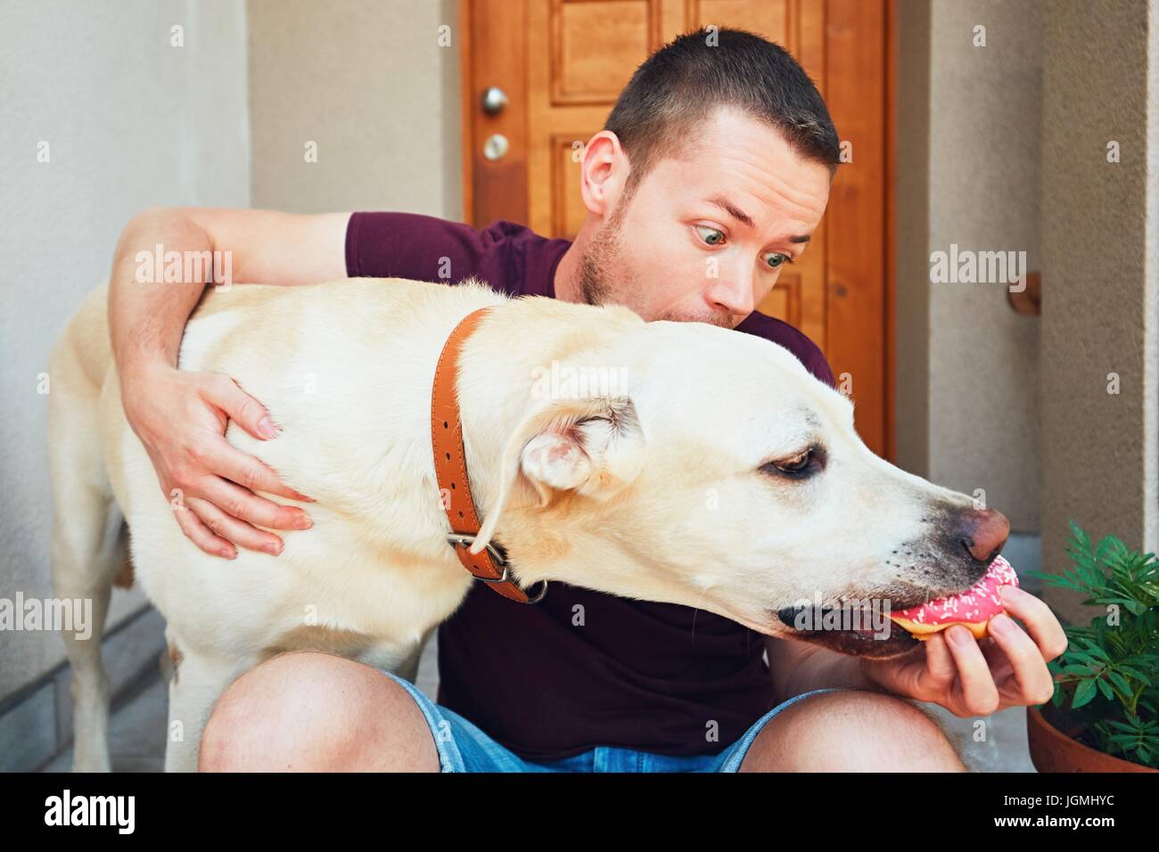 Junger Mann mit Hund auf der Treppe vor dem Haus ruht. Freche Labrador Retriever stiehlt Donut von Hand seines Besitzers. Stockfoto