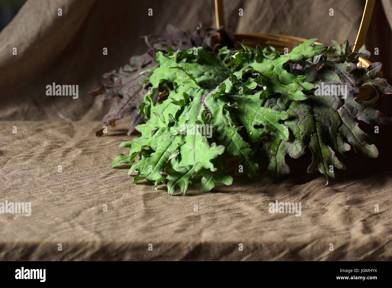 Stillleben mit verlässt russischen Roten Grünkohl. Roten russischen Kohl Blätter in einem Korb künstlerisch angeordnet. Stockfoto