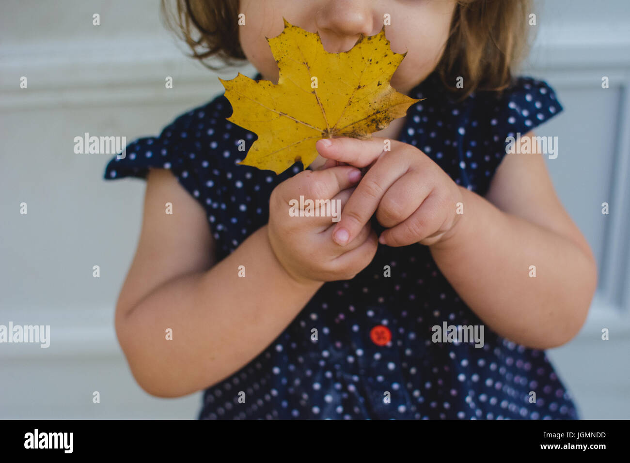Ein junges Kind halten ein gelbes Blatt im Herbst. Stockfoto