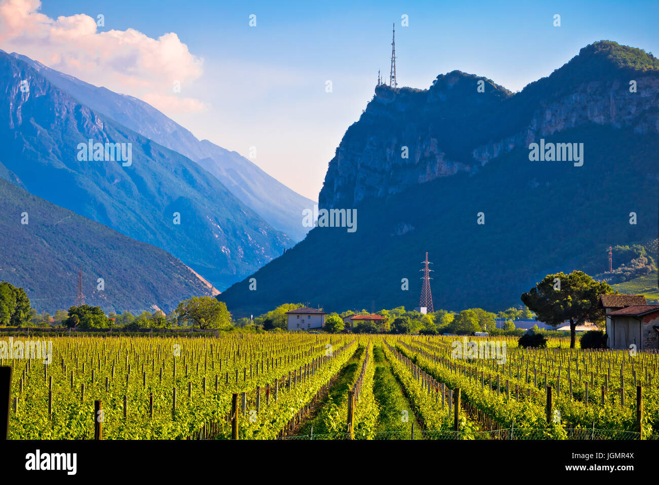 Weinberge und Alpenlandschaft in Arco, Lago di Garda Trentino Alto Adige Region in Italien Stockfoto