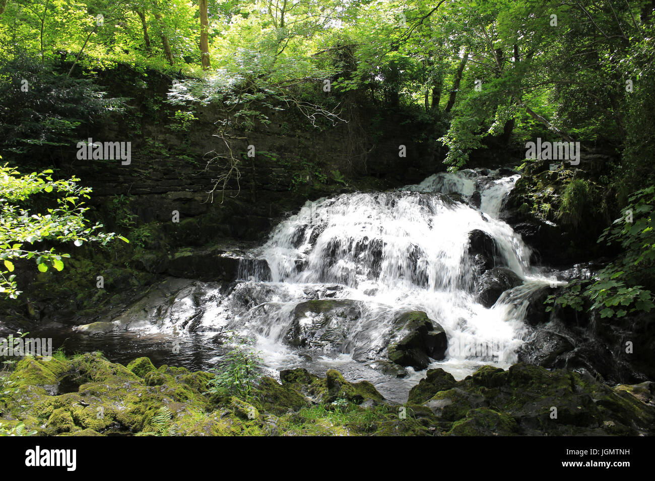 Fee-Fälle, Trefriw, Conwy Valley Stockfoto