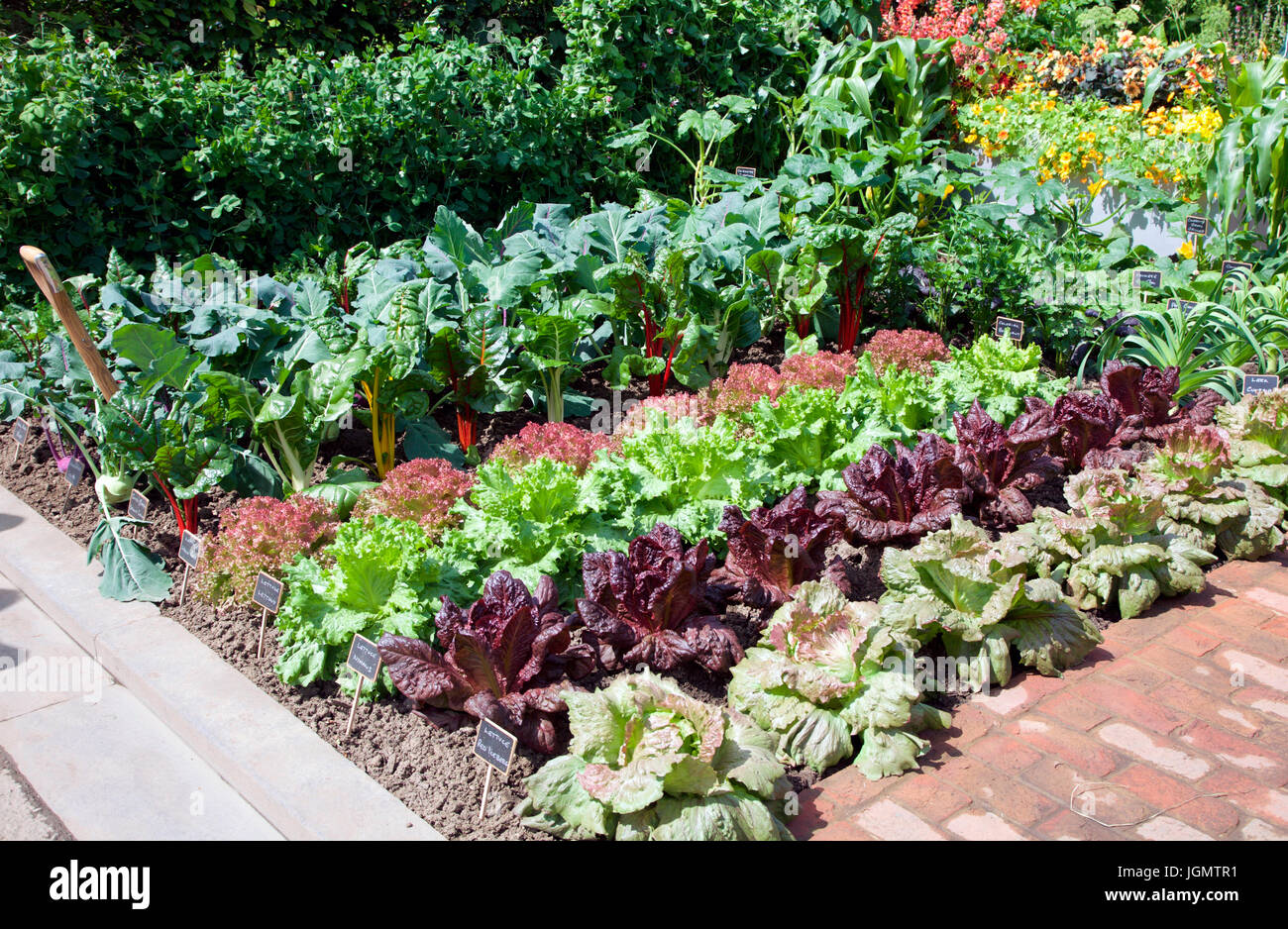 Gemüse in The Chris Evans Geschmack Garten, ein BBC Radio 2 fühlen gut entworfen von Jon Wheatley RHS Chelsea Flower Show 2017 Stockfoto