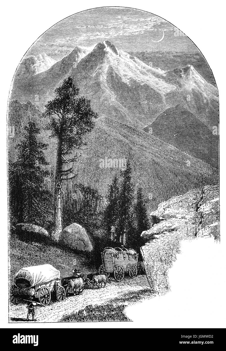 1879: Planwagen in einem Wagenzug Überquerung der Sierra Nevada Mountains, Kalifornien, Vereinigte Staaten von Amerika Stockfoto