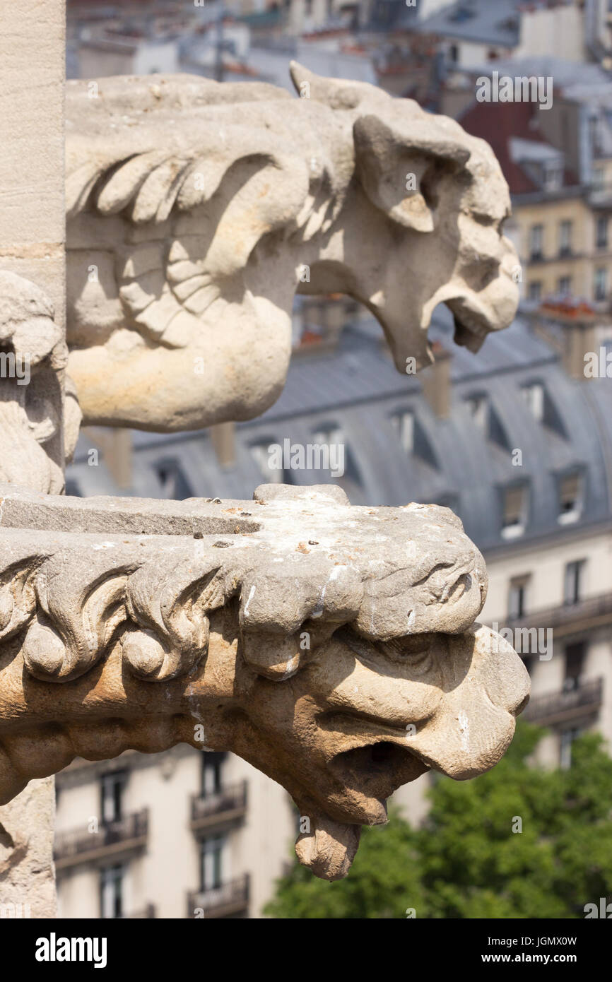 Wasserspeier auf dem Turm Saint-Jacques in der Nähe von Notre Dame, Paris Stockfoto