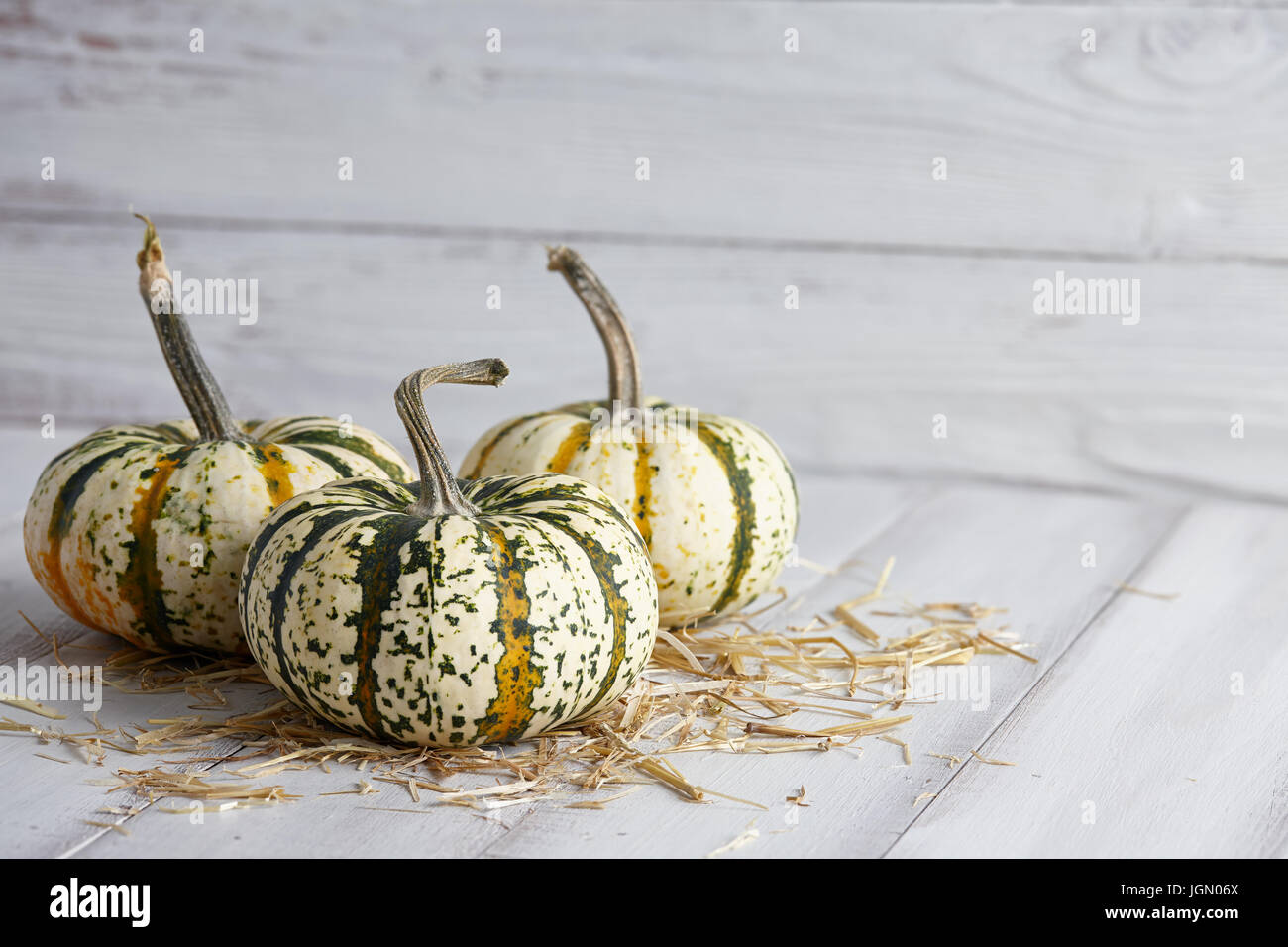 Gestreifte Halloween Kürbisse auf Whiteboards Stockfoto