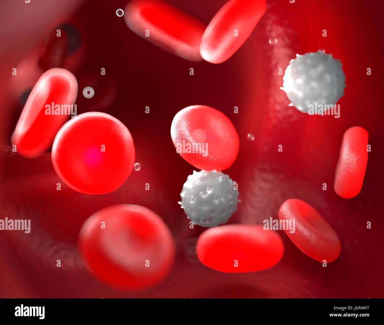 Rote blutkörperchen blutbahn -Fotos und -Bildmaterial in hoher ...