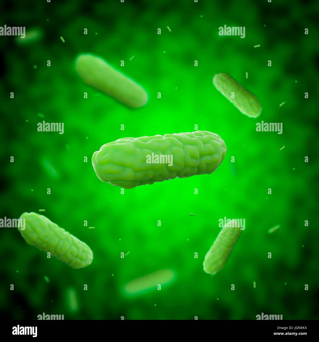 коклюш палочка борде жангу. коклюш микроб. коклюшной палочкой борде-жангу. коклюш возбудитель бактерия. бактерия борде-жангу.