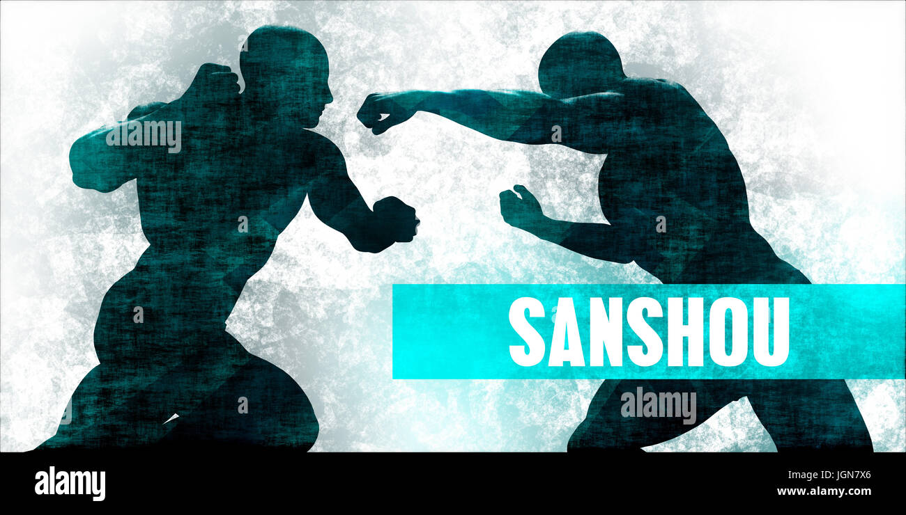 Sanshou Martial Arts Selbstverteidigung Training Konzept Stockfoto